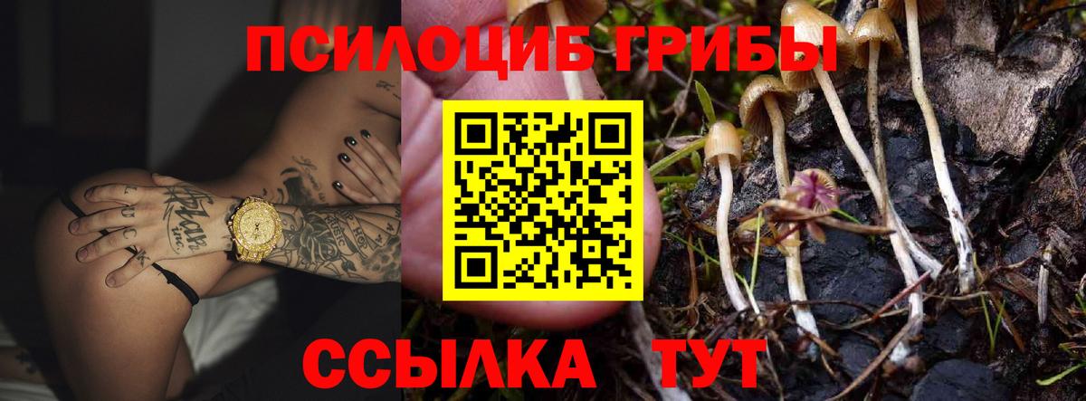 Галлюциногенные грибы Cubensis  Псилоцибиновые грибы Psilocybe  Буйнакск  Вход с VPN 